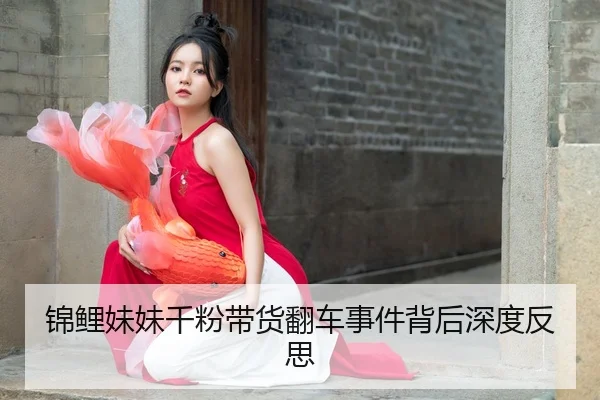 jin-li-mei-mei-qian-fen-dai-huo-fan-che-shi-jian-bei-hou-shen-du-fan-si-2-552.jpg