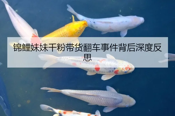 锦鲤妹妹千粉带货翻车事件背后深度反思