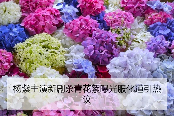 杨紫主演新剧杀青花絮曝光服化道引热议